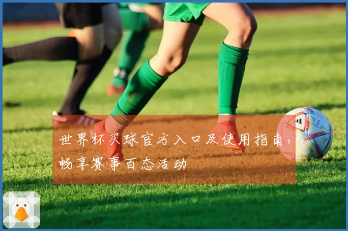 世界杯买球官方入口及使用指南，畅享赛事百态活动