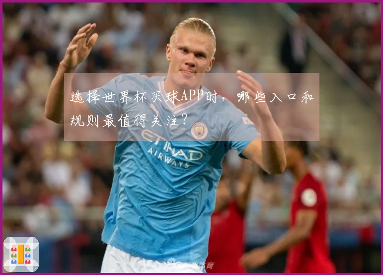 选择世界杯买球APP时，哪些入口和规则最值得关注？