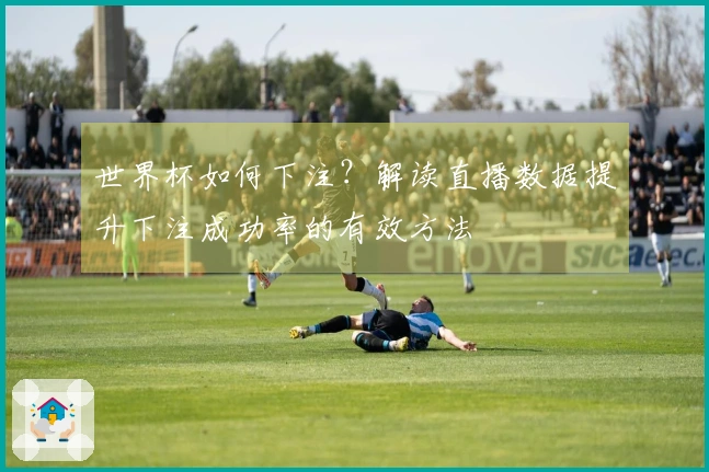 世界杯如何下注？解读直播数据提升下注成功率的有效方法
