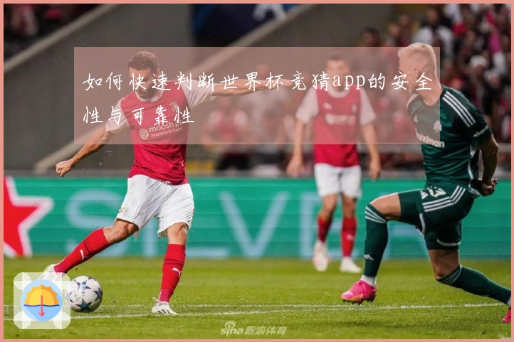 如何快速判断世界杯竞猜app的安全性与可靠性