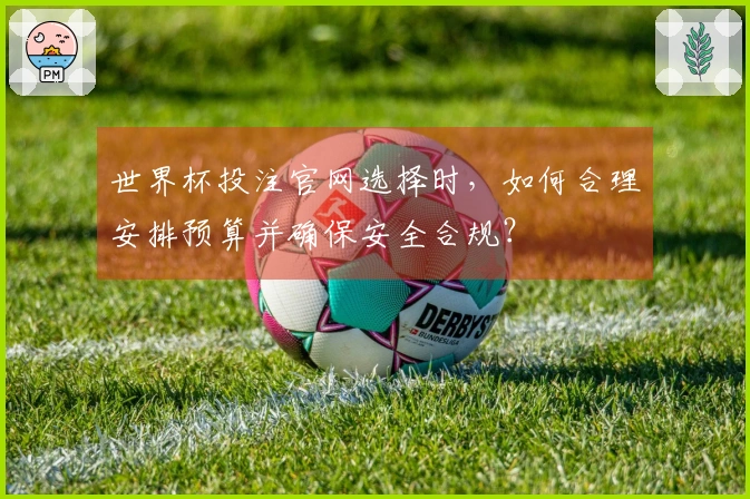 世界杯投注官网选择时，如何合理安排预算并确保安全合规？