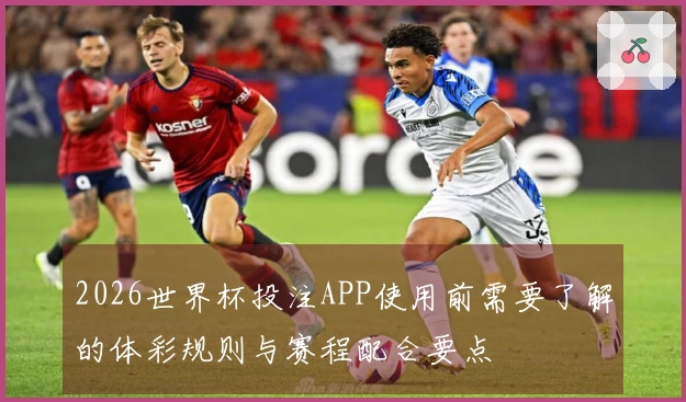 2026世界杯投注APP使用前需要了解的体彩规则与赛程配合要点