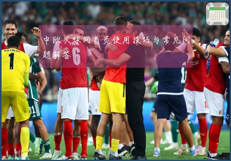 中欧买球网首页使用技巧与常见问题解答
