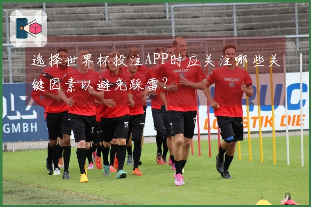 选择世界杯投注APP时应关注哪些关键因素以避免踩雷?