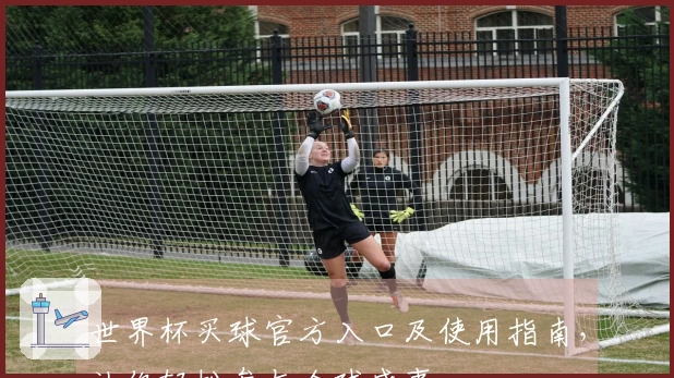 世界杯买球官方入口及使用指南，让你轻松参与全球盛事