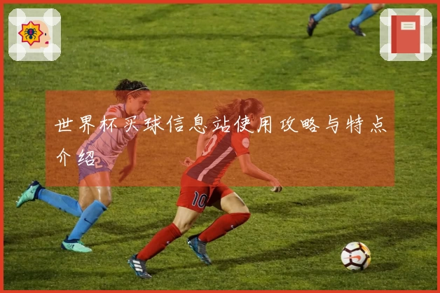 世界杯买球信息站使用攻略与特点介绍