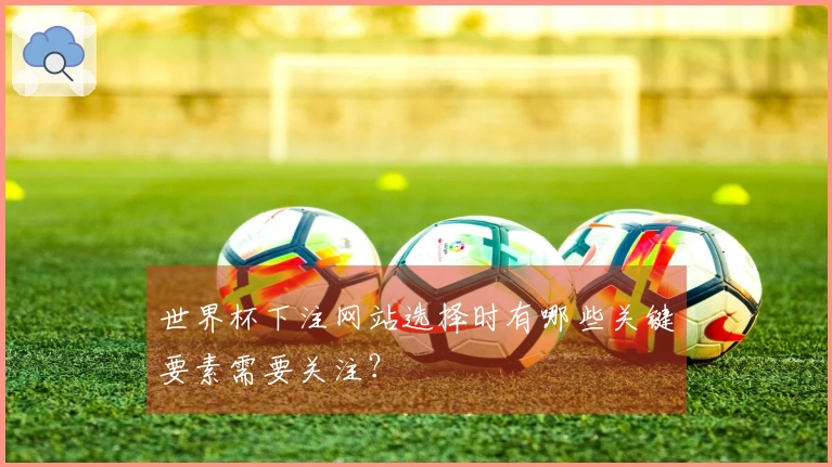 世界杯下注网站选择时有哪些关键要素需要关注？
