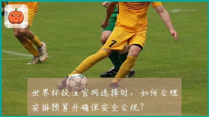 世界杯投注官网选择时,如何合理安排预算并确保安全合规?