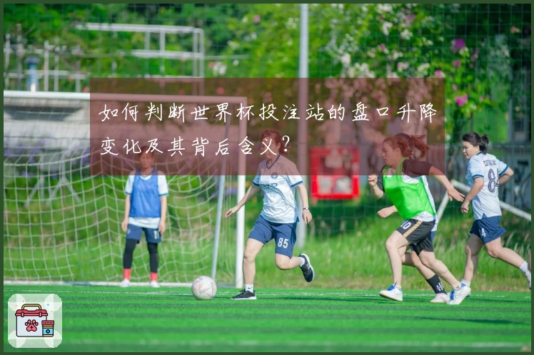 如何判断世界杯投注站的盘口升降变化及其背后含义？