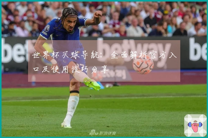 世界杯买球导航：全面解析官方入口及使用技巧分享