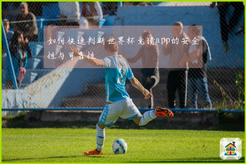 如何快速判断世界杯竞猜app的安全性与可靠性