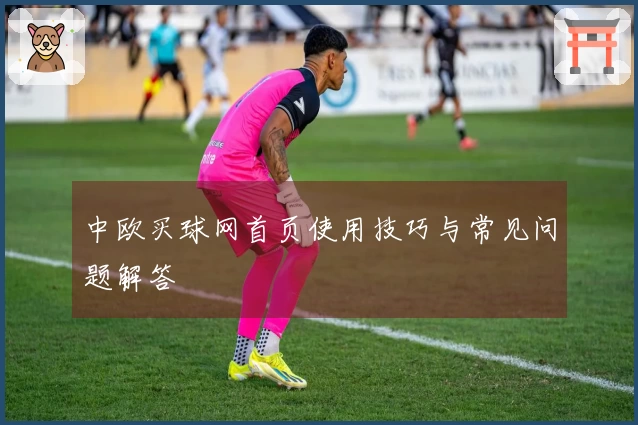 中欧买球网首页使用技巧与常见问题解答