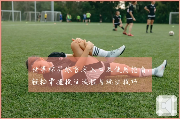 世界杯买球官方入口及使用指南，轻松掌握投注流程与玩法技巧