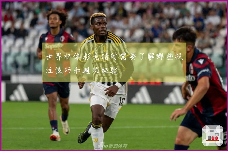 世界杯体彩竞猜时需要了解哪些投注技巧和避坑经验
