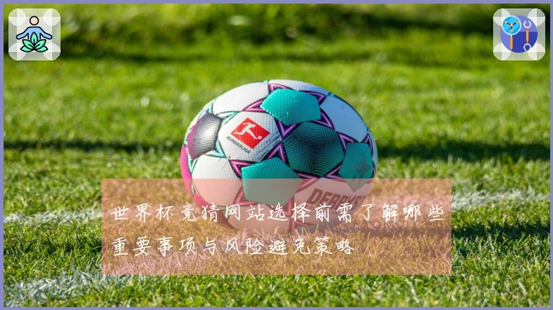 世界杯竞猜网站选择前需了解哪些重要事项与风险避免策略