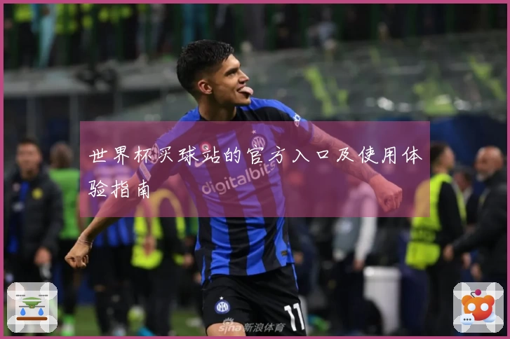 世界杯买球站的官方入口及使用体验指南