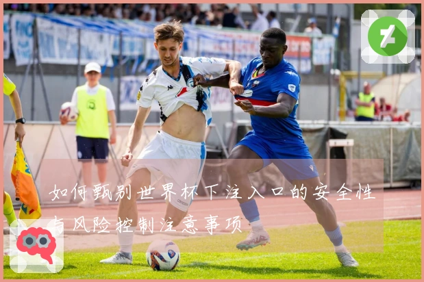 如何甄别世界杯下注入口的安全性与风险控制注意事项
