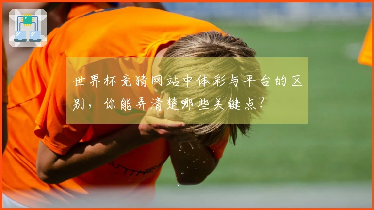 世界杯竞猜网站中体彩与平台的区别,你能弄清楚哪些关键点?