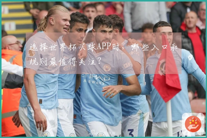 选择世界杯买球APP时，哪些入口和规则最值得关注？
