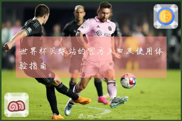 世界杯买球站的官方入口及使用体验指南