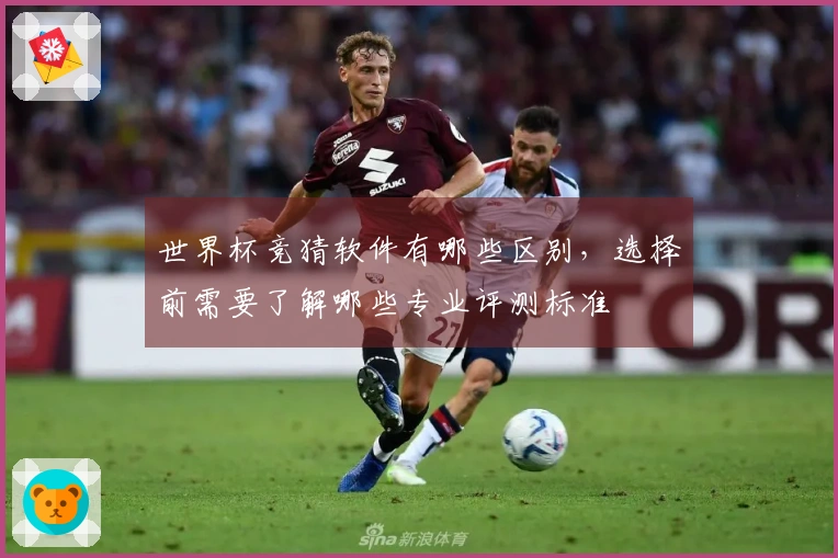 世界杯竞猜软件有哪些区别，选择前需要了解哪些专业评测标准