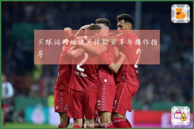 买球站网址使用体验分享与操作指导