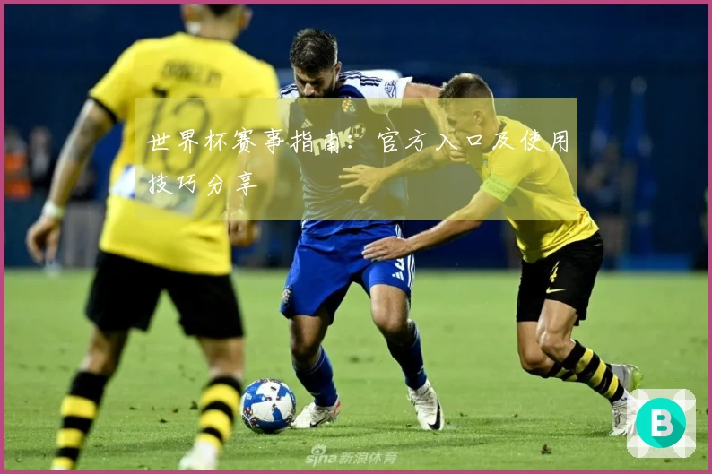 世界杯赛事指南：官方入口及使用技巧分享