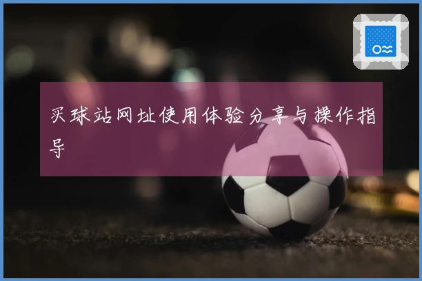 买球站网址使用体验分享与操作指导