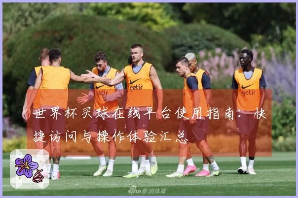 世界杯买球在线平台使用指南：快捷访问与操作体验汇总